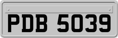 PDB5039