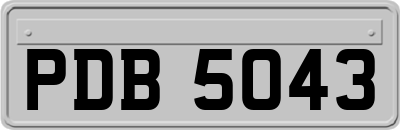 PDB5043
