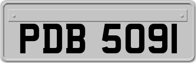 PDB5091