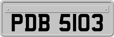 PDB5103