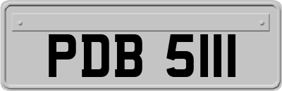 PDB5111