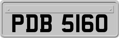 PDB5160