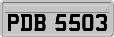 PDB5503