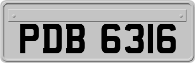 PDB6316