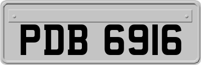 PDB6916
