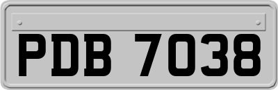 PDB7038