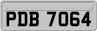 PDB7064