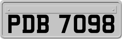 PDB7098