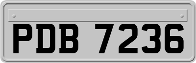 PDB7236