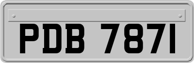 PDB7871