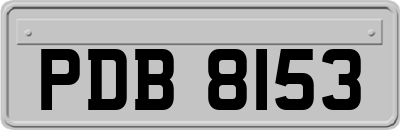 PDB8153