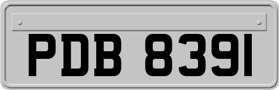 PDB8391