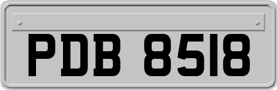 PDB8518