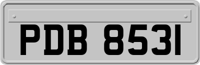 PDB8531