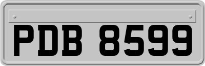 PDB8599
