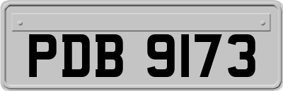 PDB9173