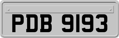 PDB9193