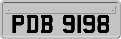PDB9198