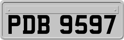 PDB9597