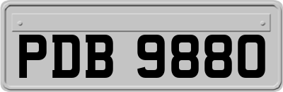 PDB9880