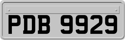 PDB9929