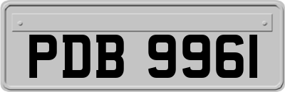 PDB9961