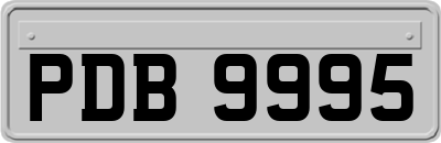 PDB9995