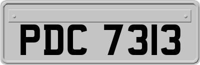 PDC7313