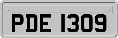 PDE1309