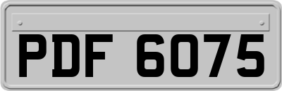 PDF6075