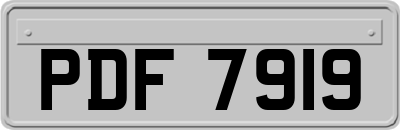PDF7919