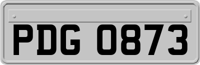PDG0873