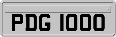 PDG1000