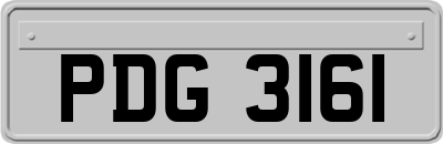 PDG3161