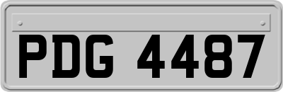 PDG4487
