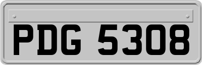 PDG5308