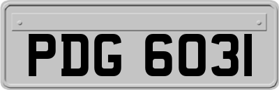 PDG6031