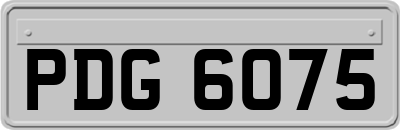 PDG6075