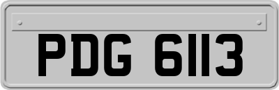 PDG6113