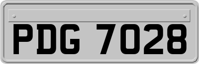 PDG7028
