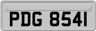 PDG8541