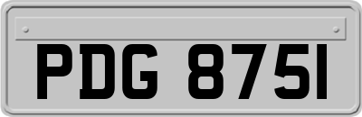 PDG8751