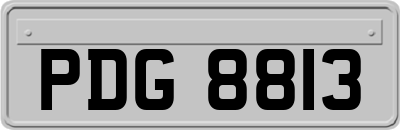PDG8813