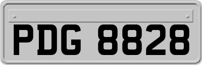 PDG8828