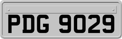 PDG9029