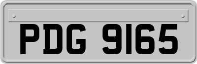 PDG9165