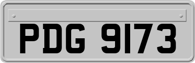 PDG9173