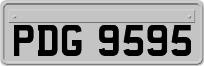 PDG9595
