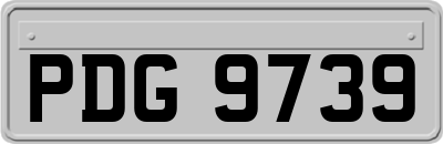 PDG9739