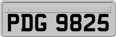 PDG9825